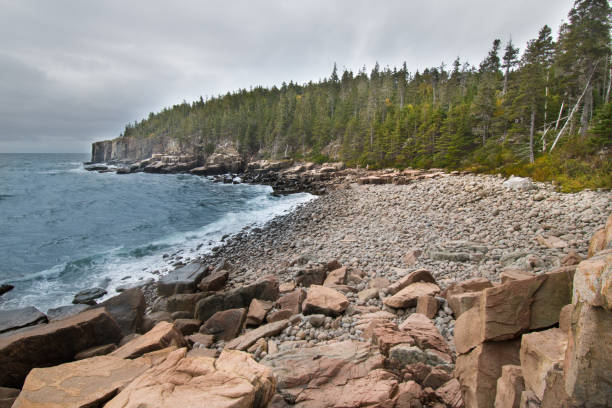 istock Maine Coastline - Acadia National Park 1294357139