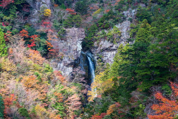 istock Waterfall of Ooare,Decorate autumn (Kami City, Kochi Prefecture) 1294359751