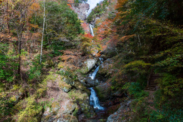 istock Waterfall of Ooare,Natural beauty,Autumn (Kami City, Kochi Prefecture) 1294359780