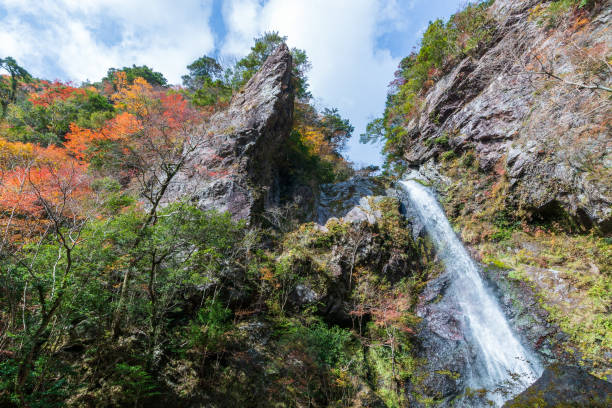 istock Waterfall of Ooare,Hidden waterfall,Autumn (Kami City, Kochi Prefecture) 1294359798
