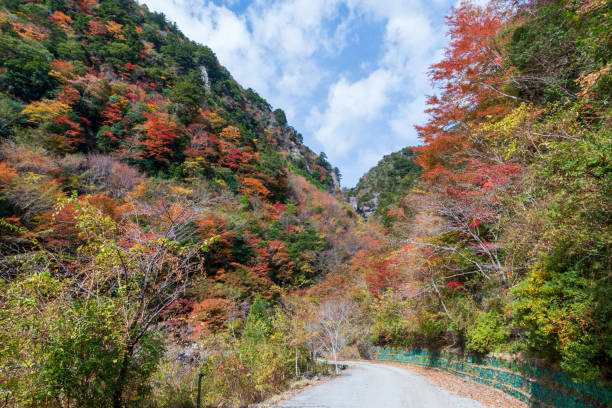 istock Waterfall of Ooare,View from the road,Autumn leaves (Kami City, Kochi Prefecture) 1294360366