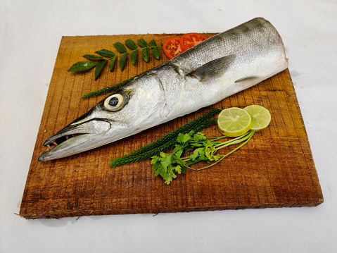 Fresh Barrcuda fish or sea pike fish decorated with herbs and vegetables on a wooden pad.White background.Selective focus