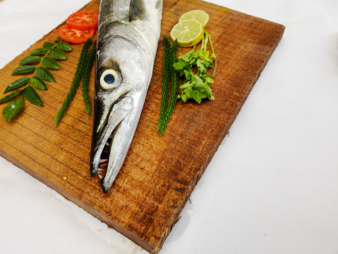 Fresh Barrcuda fish or sea pike fish decorated with herbs and vegetables on a wooden pad.White background.Selective focus