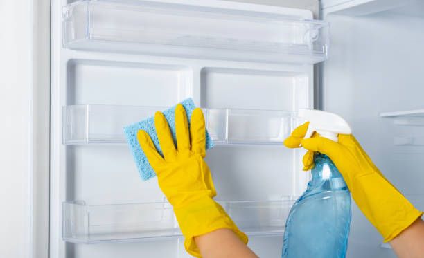 istock A woman's hands in a yellow rubber protective glove and a blue sponge washes, cleans refrigerator shelves. Cleaning service, housewife, routine housework. Spray for windows and glass surfaces cleaner 1294361957