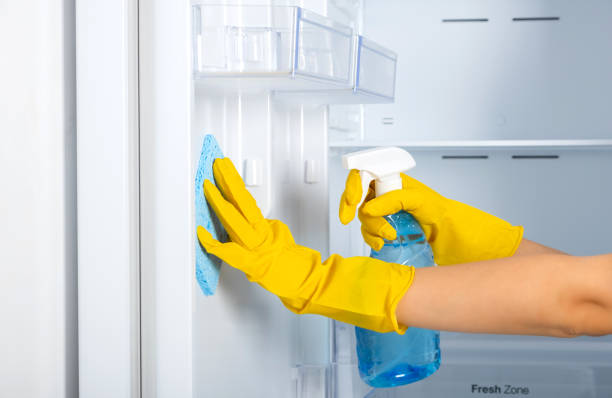 istock A woman's hands in a yellow rubber protective glove and a blue sponge washes, cleans refrigerator shelves. Cleaning service, housewife, routine housework. Spray for windows and glass surfaces cleaner 1294361959