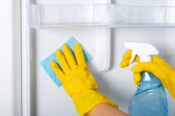 istock A woman's hands in a yellow rubber protective glove and a blue sponge washes, cleans refrigerator shelves. Cleaning service, housewife, routine housework. Spray for windows and glass surfaces cleaner 1294361961