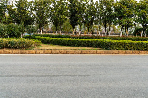 istock Empty urban road and buildings in China 1294362645