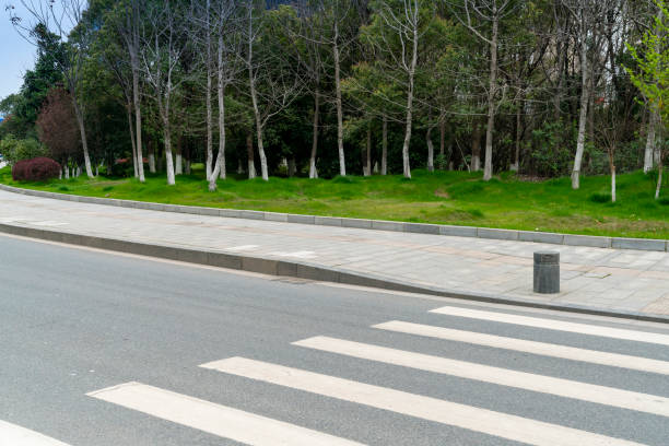 istock Zebra crossing on outdoor road 1294362688