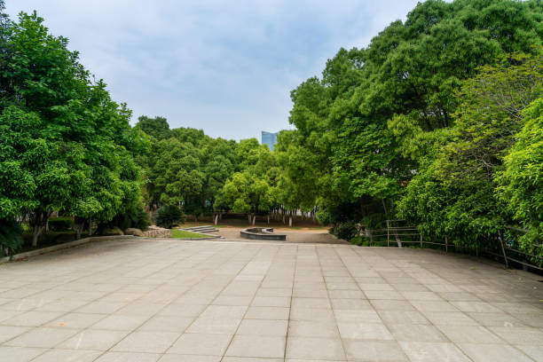 istock trees of parks on sunny days 1294362736