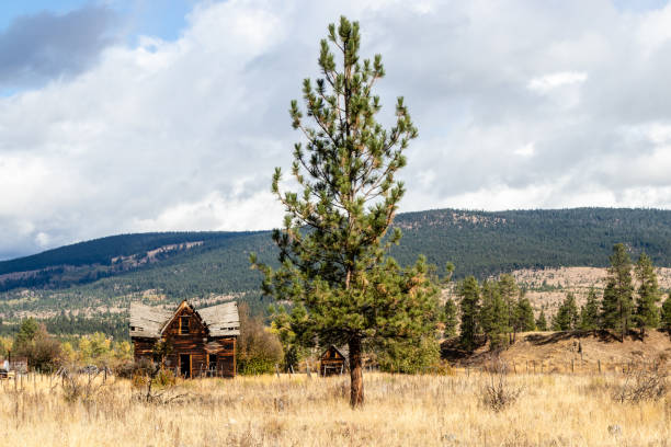 istock Abandoned farm house in rural British Columbia 1294363732