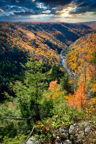 blackwater canyon - new york canyon imagens e fotografias de stock