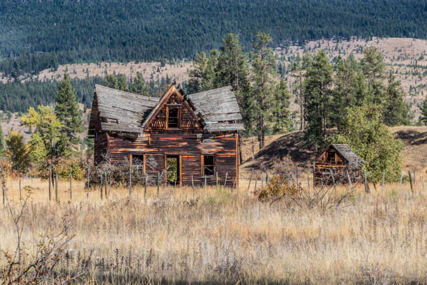 istock abandoned farm house in a field 1294364453