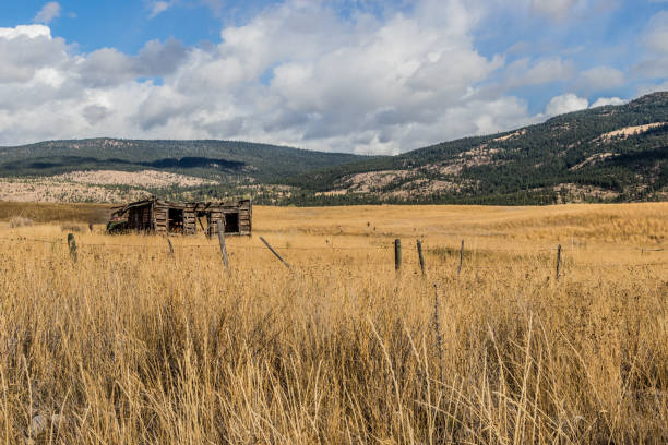 istock abandoned farm building in a field in the mountains 1294364465