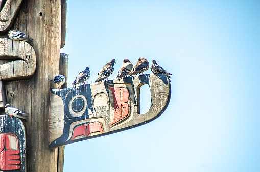 First Nations Totem Poles during a fall season at Stanley Park in Vancouver, British Columbia, Canada.