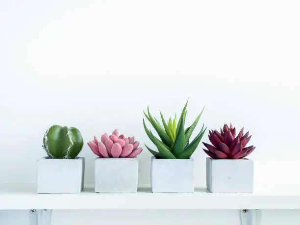 Photo of Concrete pot cubic shape or geometric cement planter for cactus and succulent plants.
