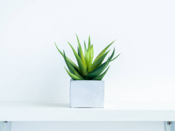 istock Concrete pot cubic shape or geometric cement planter for cactus and succulent plants. 1294365580