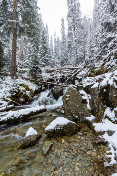 River in Tatra mountains during the winter stock photo