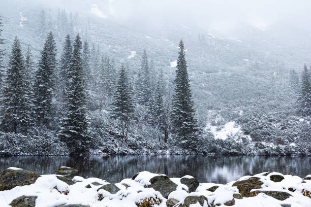 Snowing winter landscape with the lake in Tatra mountains stock photo