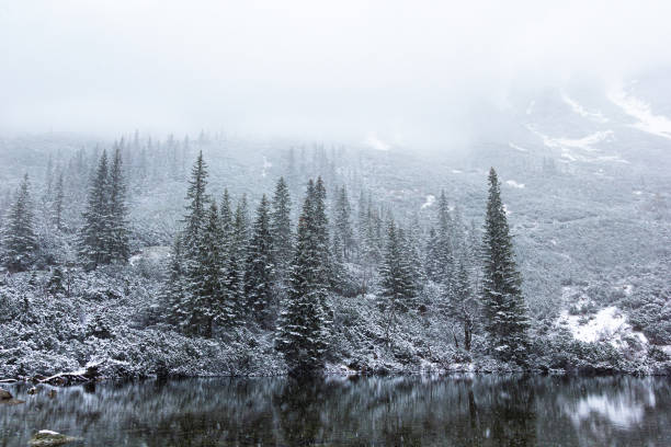 Snowing winter landscape with the lake in Tatra mountains stock photo