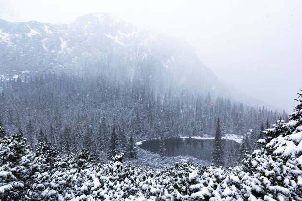 Snowing winter landscape with the lake from far in Tatra mountains stock photo