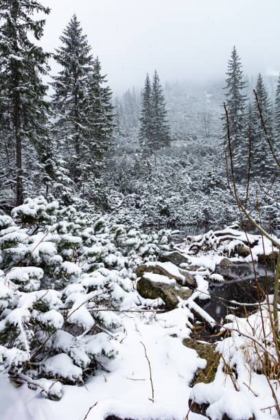 Snowing winter landscape in Tatra mountains, Slovakia stock photo