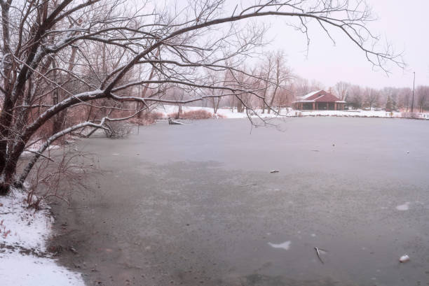 Malden Park is a public park in Windsor, Ontario, Canada.   This is a winter scene from the park.