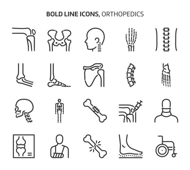 ортопедия, смелые иконки линии - кость человека stock illustrations