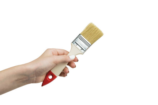 istock Female hand with brush isolated on white background. 1294381720