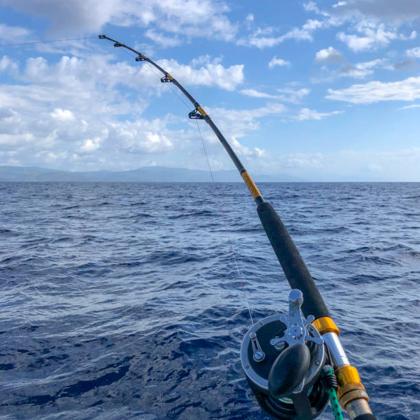istock Deep Sea Fishing 1294386201