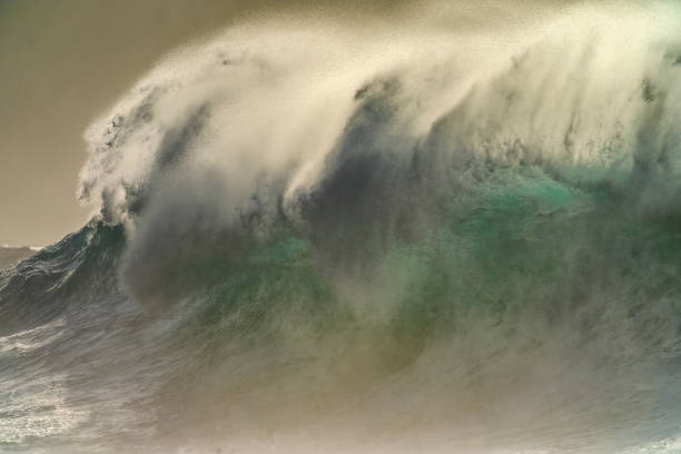 istock Island of Oahu in Hawaii 1294387968