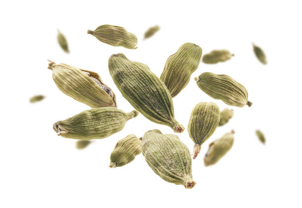 istock Cardamom pods levitate on a white background 1294388503