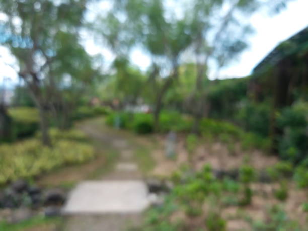 istock Blurred bokeh background at public park 1294388590