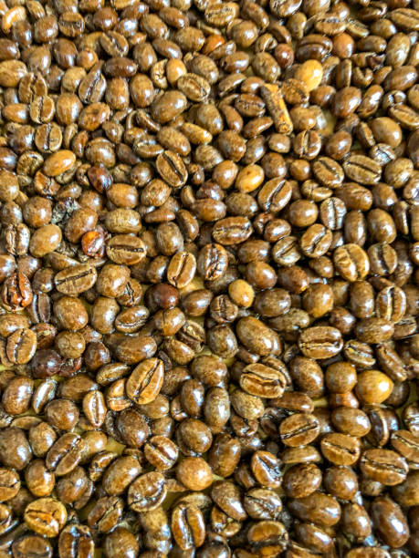 Coffee bean