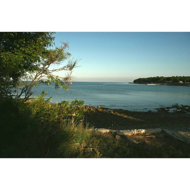 istock Morning along the Karpinjan coast, Istria 1294389552