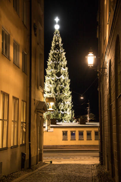 istock Stockholm, Sweden 1294394442
