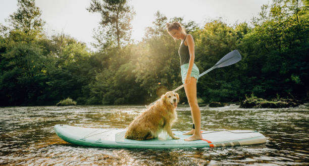 istock Stand up paddling with my dog 1294395285