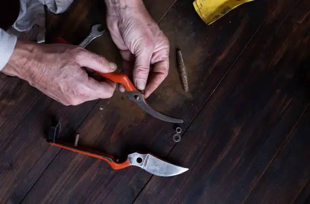 men hands cleaning and assembling a pair of garden scissors. Spring garden preparation. Image with copy space