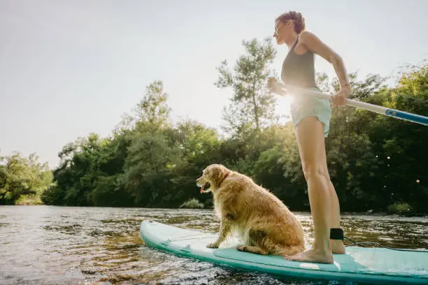 Photo of a young woman and her dog stand up paddling on the river; enjoying the beautiful, warm summer afternoon, far from the hustle of the city.