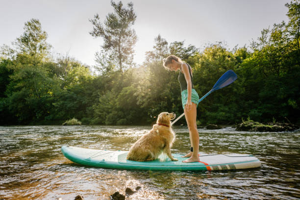 istock Stand up paddling with my dog 1294395516