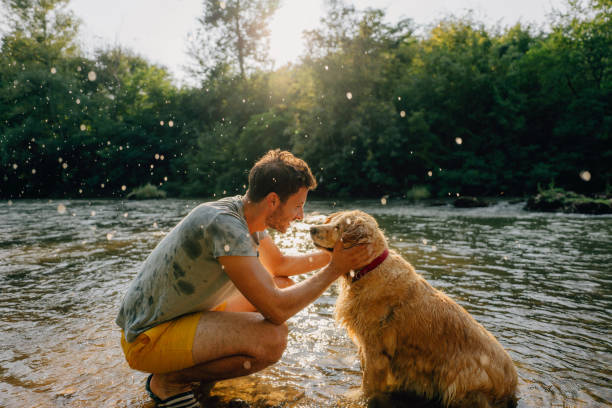 Nature lovers Photo of a young man and his dog bathing in the river; enjoying the beautiful, warm summer afternoon far from the hustle of the city. dog swimsuit stock pictures, royalty-free photos & images
