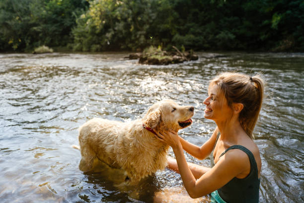My furry swimmer Photo of a smiling young woman and her dog bathing in the river; having a great time and enjoying the sunny afternoon outdoors. river swimming women water stock pictures, royalty-free photos & images