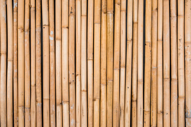 istock Background of old brown bamboo, suitable for graphics, folk or nature. 1294399118