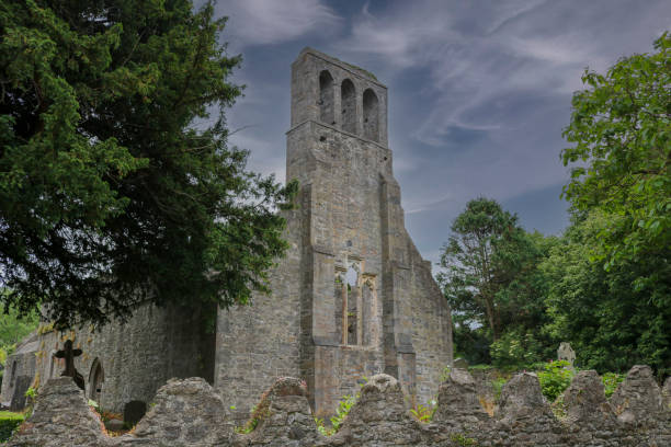 教会遺跡, アイルランド - castle republic of ireland dublin ireland malahide ストックフォトと画像
