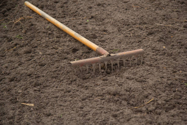 stare zardzewiałe grabie z drewnianym żółtym uchwytem leżą na ziemi - shovel spring claw hobbies zdjęcia i obrazy z banku zdjęć