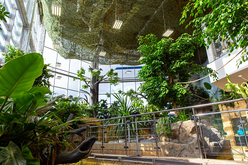 Botanical garden with pond and fish inside the building