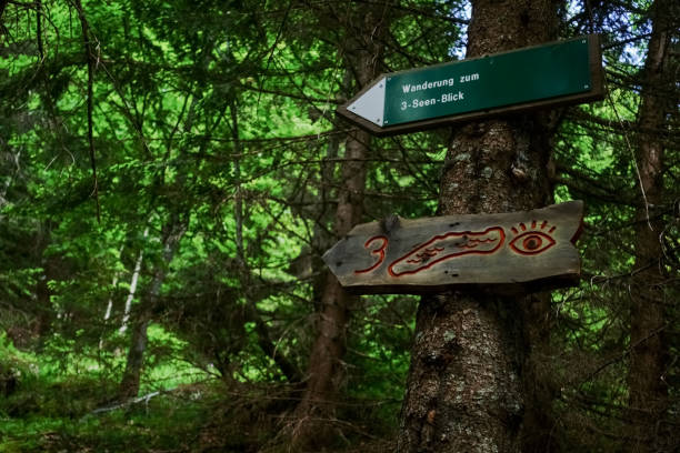 istock sign on a tree  to a view with three lakes 1294402146