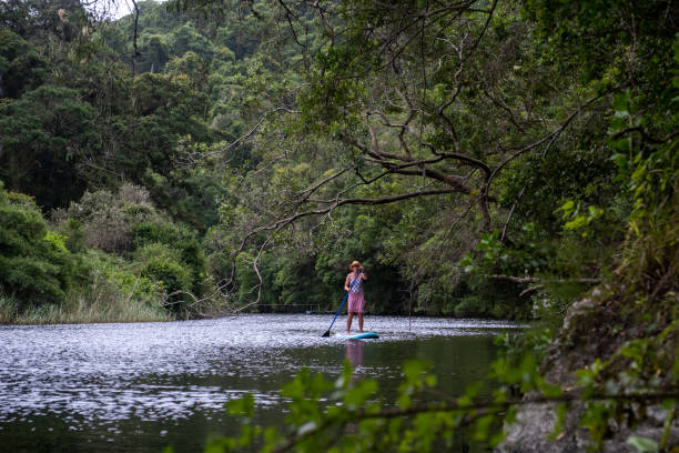 Woman stand up paddle boarding on a pristine river