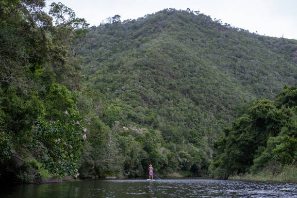 Woman stand up paddle boarding on a pristine river