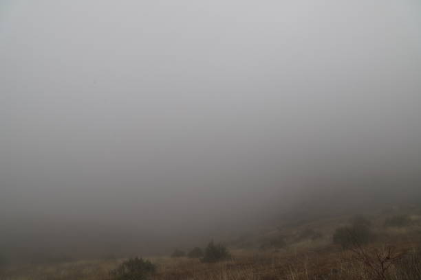 Several silhouettes of people in a thick fog
