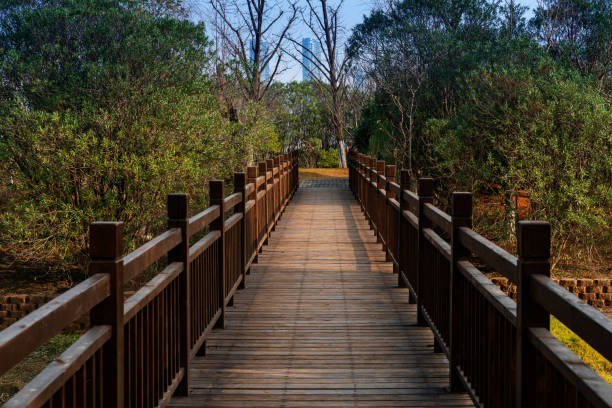 boardwalk in the City Park